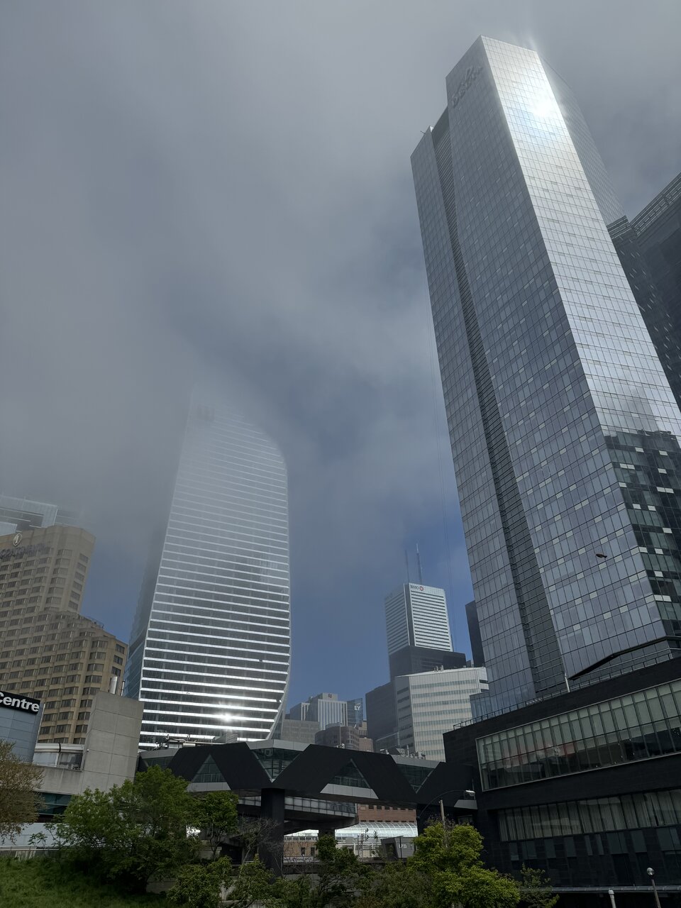 IMG_1377.jpeg