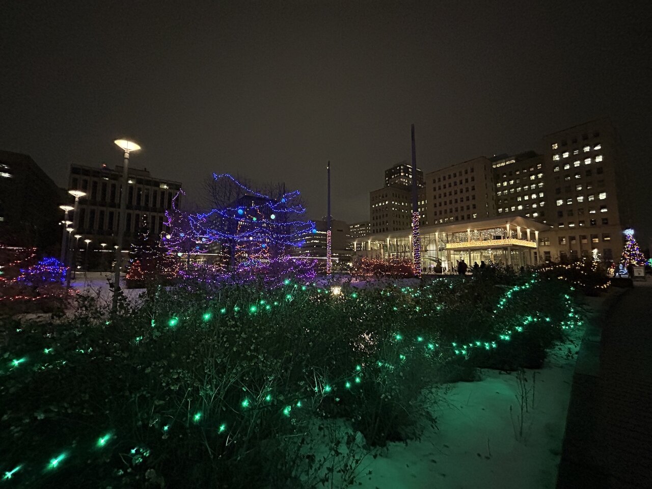 IMG_1391.JPG