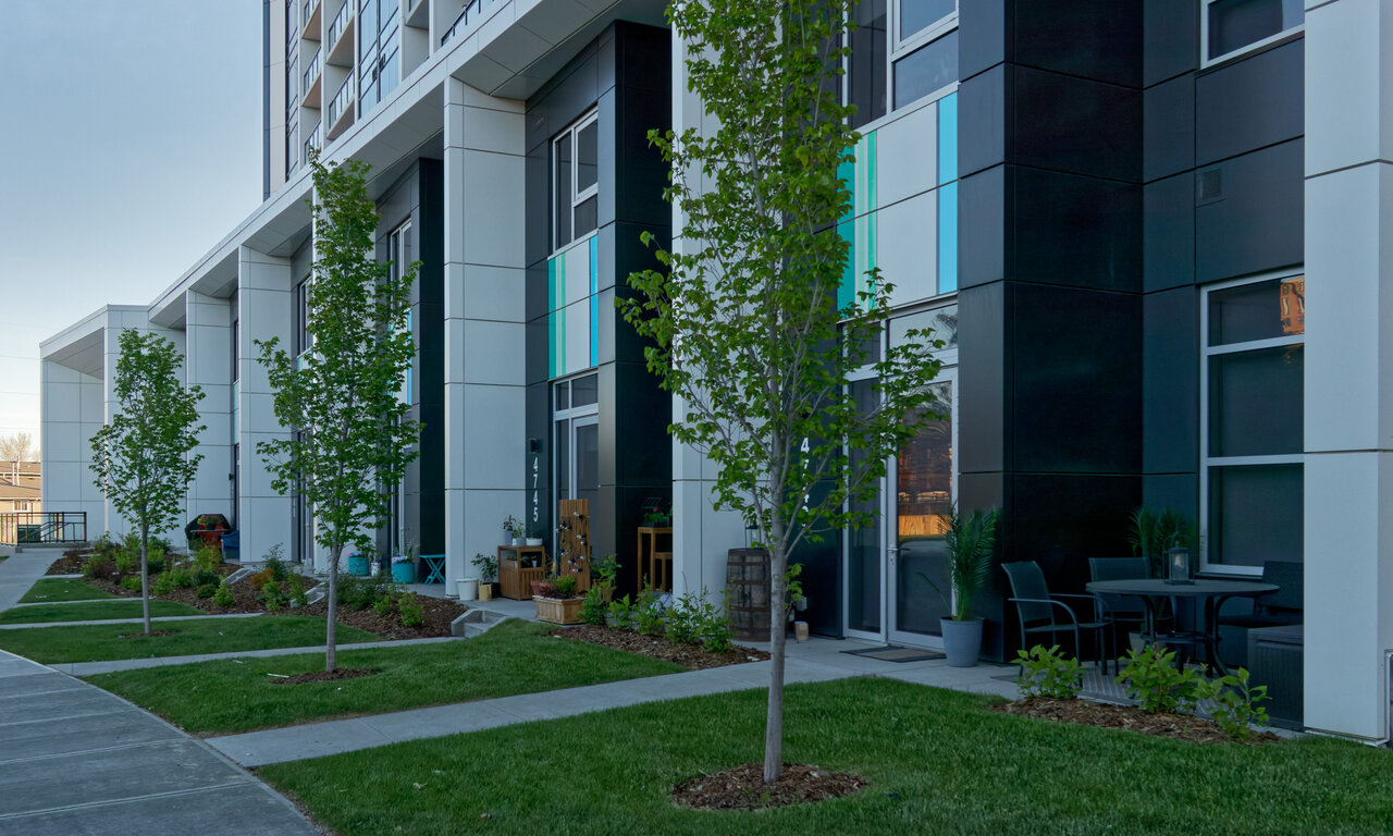 IMG_1537exp.jpg IMG_1537exp.jpg