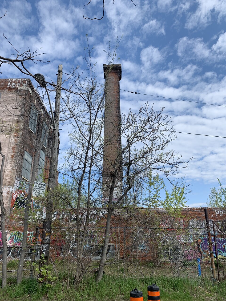 IMG_1547.jpeg