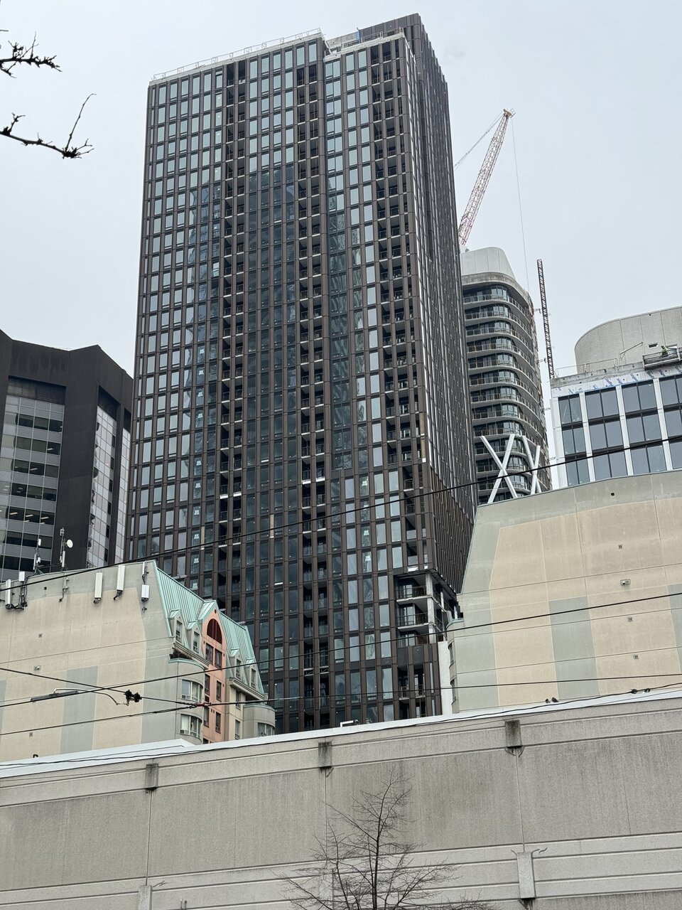 IMG_1690.jpeg