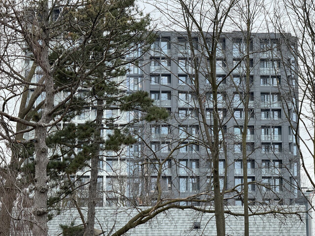 IMG_1749.jpeg