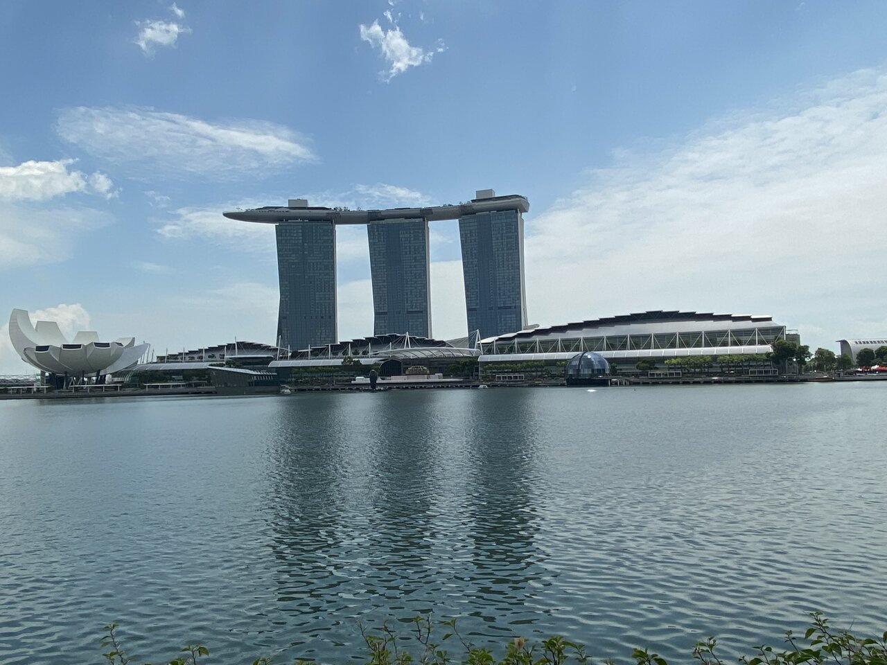 IMG_1847.jpeg