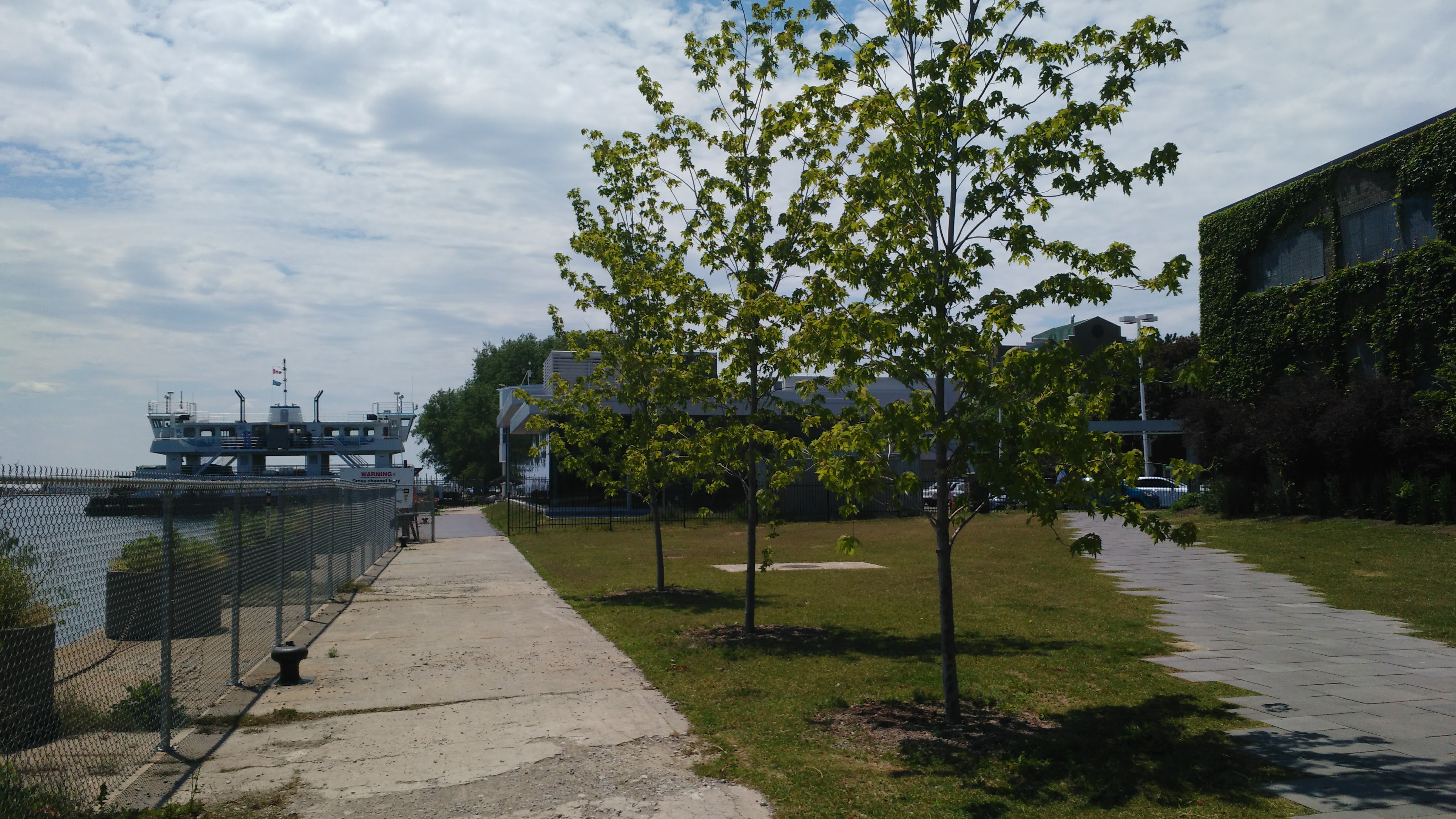 IMG_20170616_140228.jpg