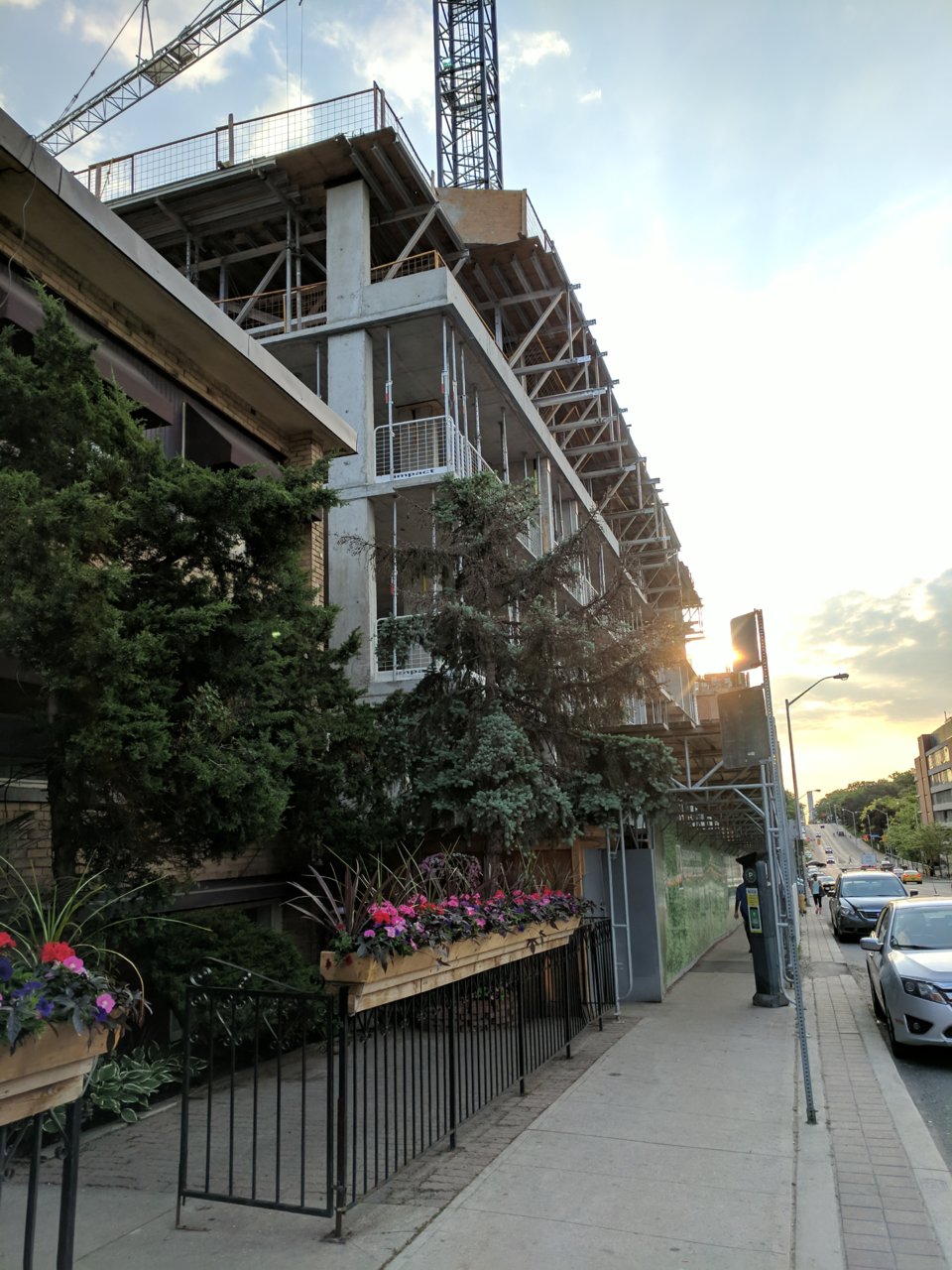IMG_20180530_064729.jpg