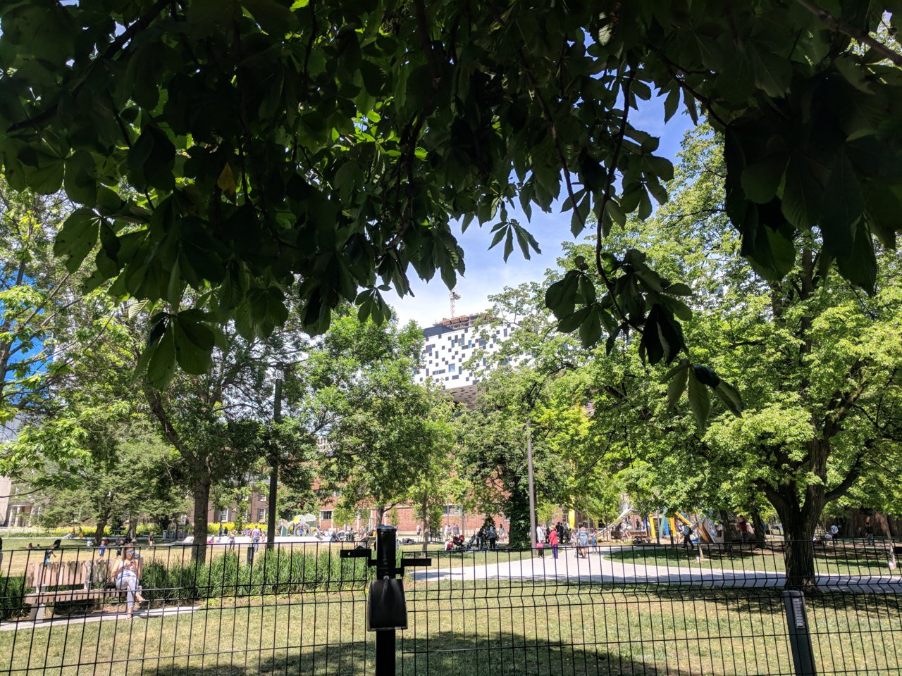 IMG_20180610_143535.jpg