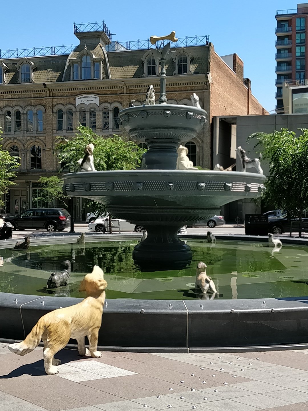 IMG_20180708_145233.jpg