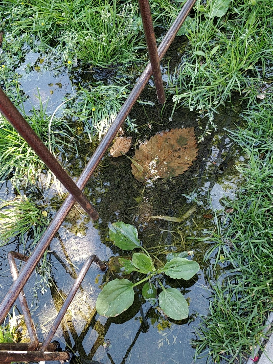 IMG_20180708_145352.jpg