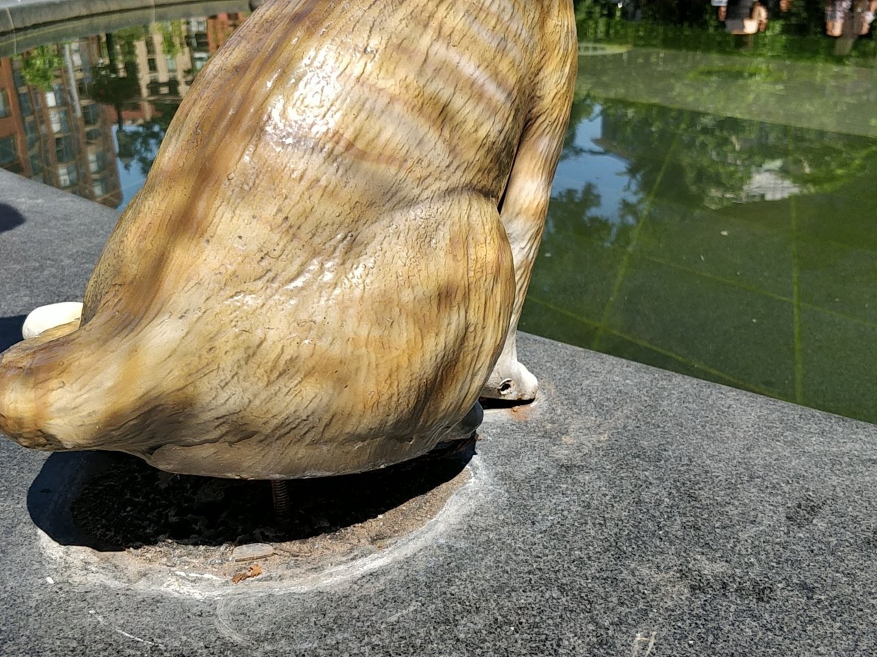 IMG_20180708_145622.jpg