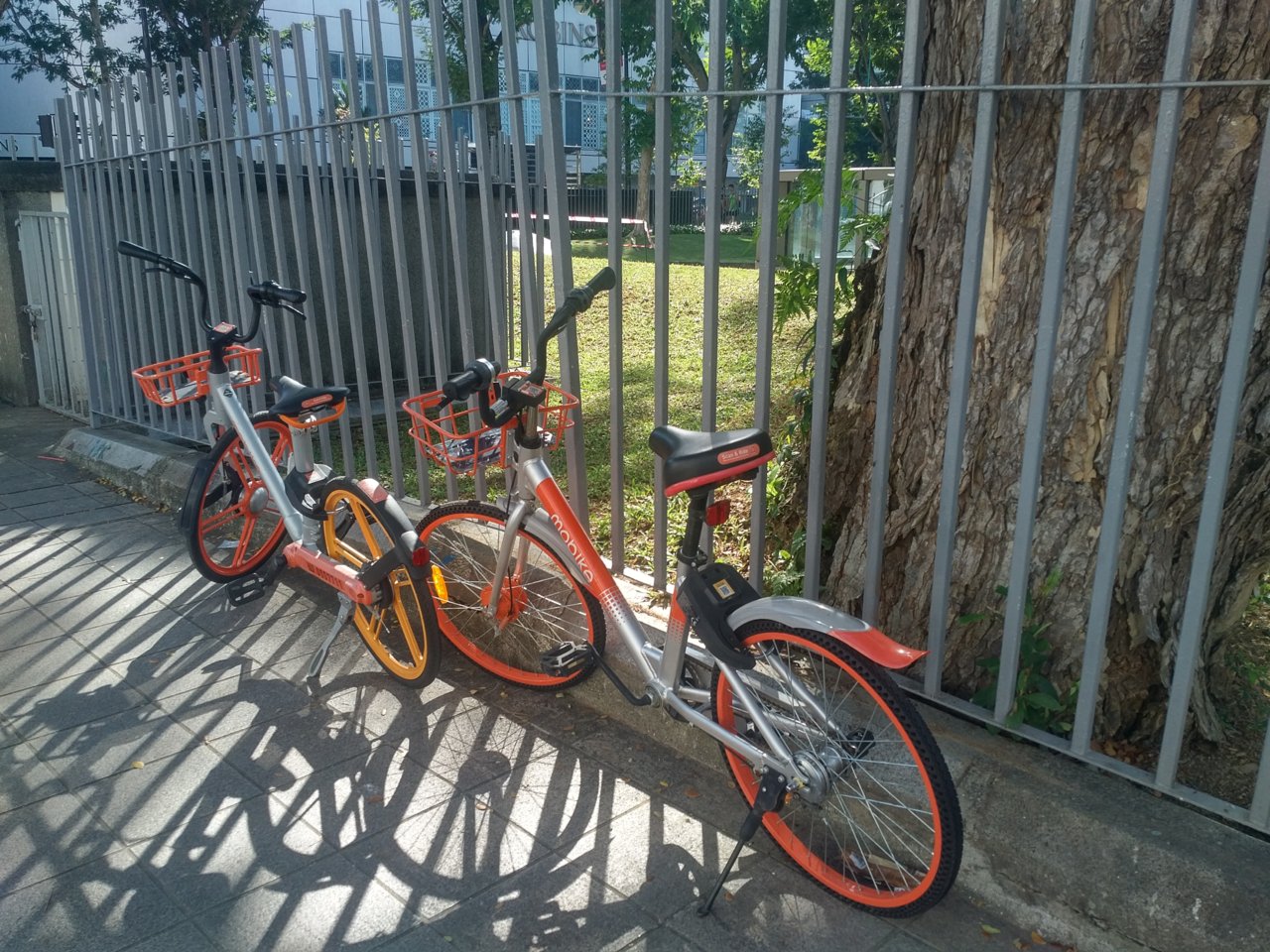 IMG_20180826_0945139.jpg