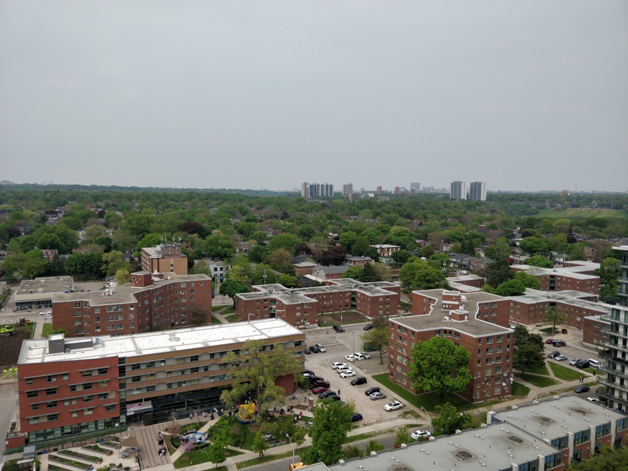 IMG_20190601_144001.jpg