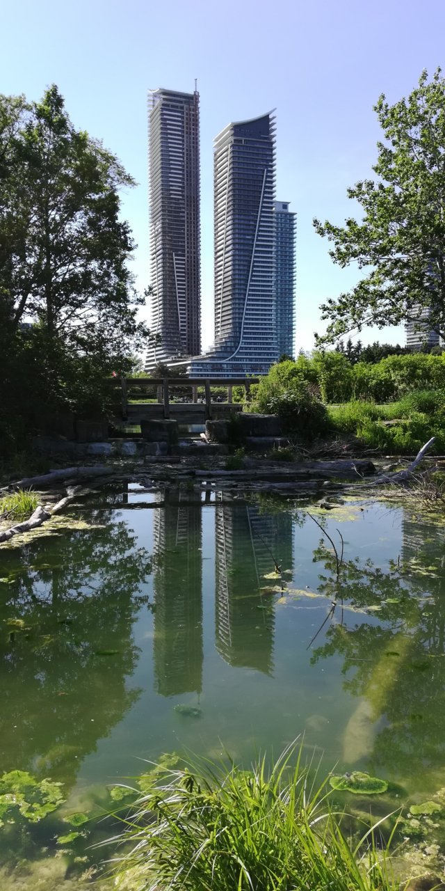 IMG_20190623_170229.jpg
