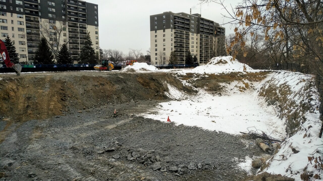 IMG_20210129_1020473.jpg