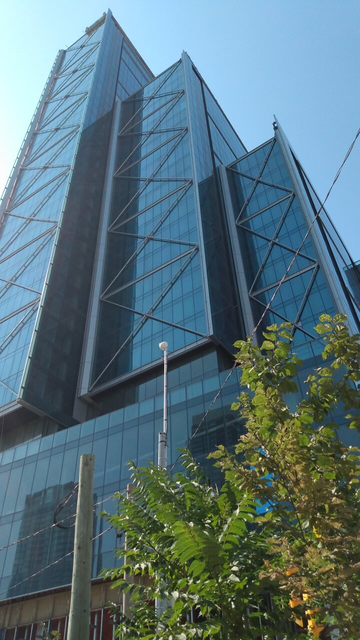 IMG_20210723_162013299.jpg