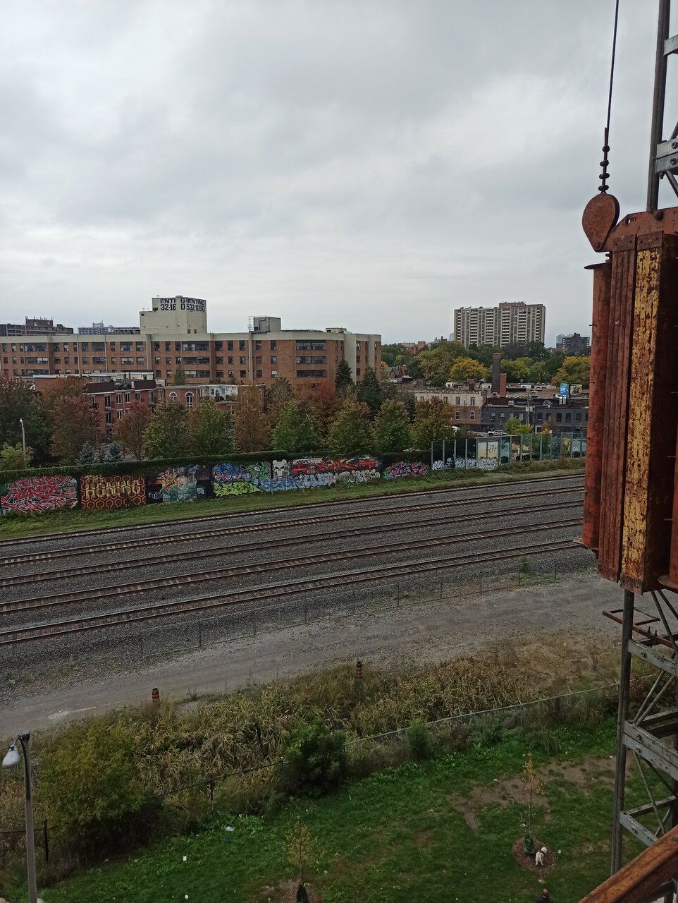 IMG_20211005_122810.jpg