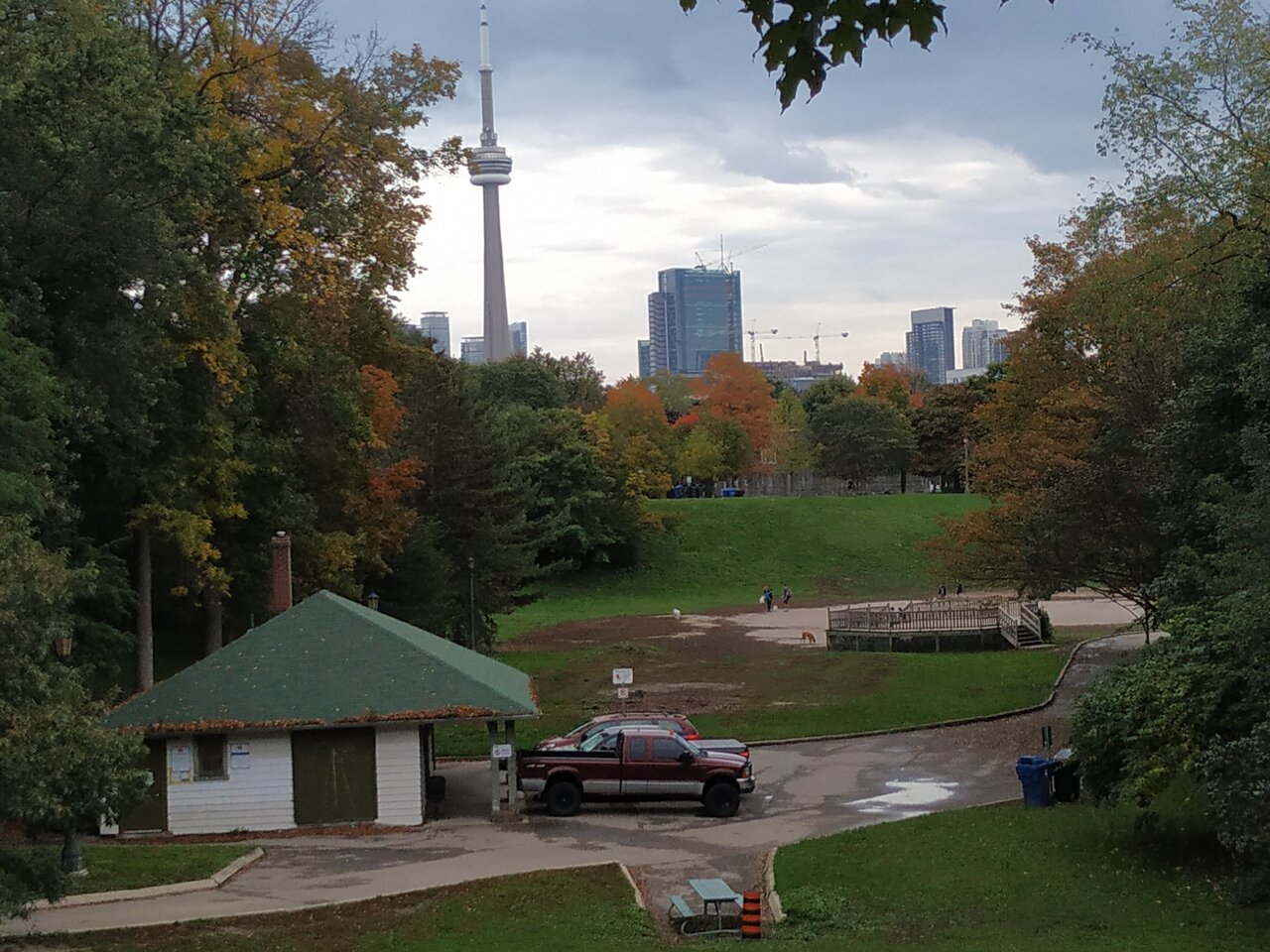 IMG_20211015_124128.jpg