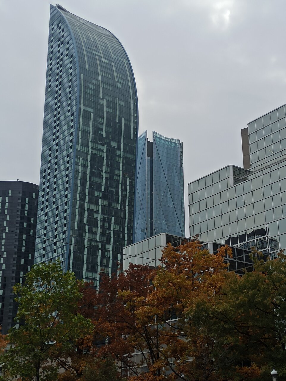 IMG_20211104_151051.jpg