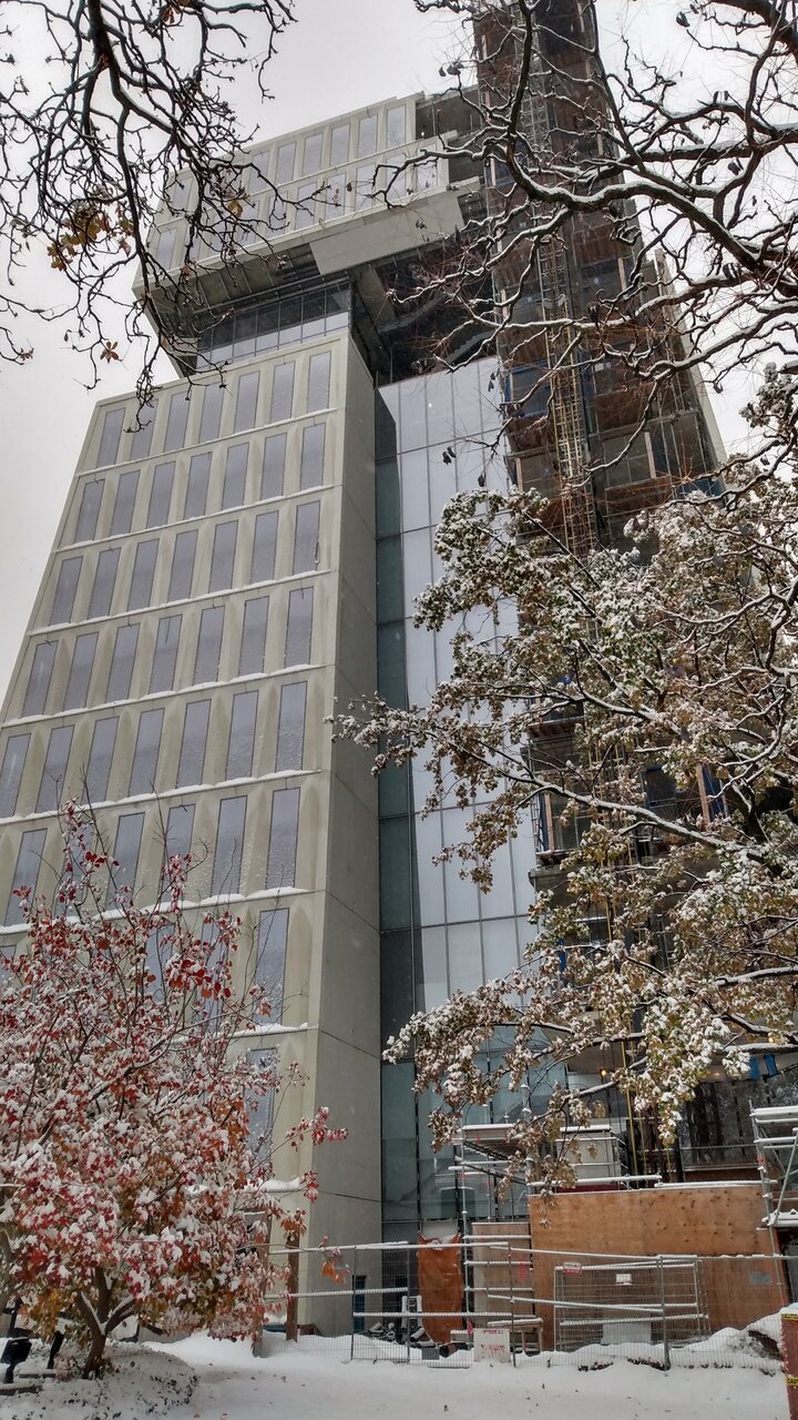 IMG_20221116_091415489_HDR.jpg