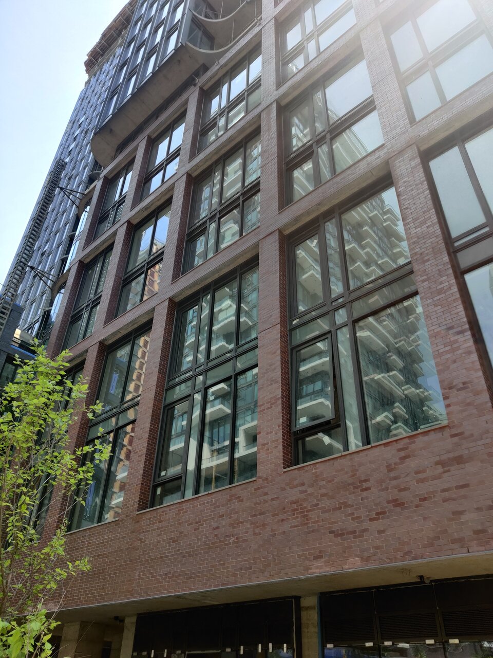 IMG_20230604_135010.jpg