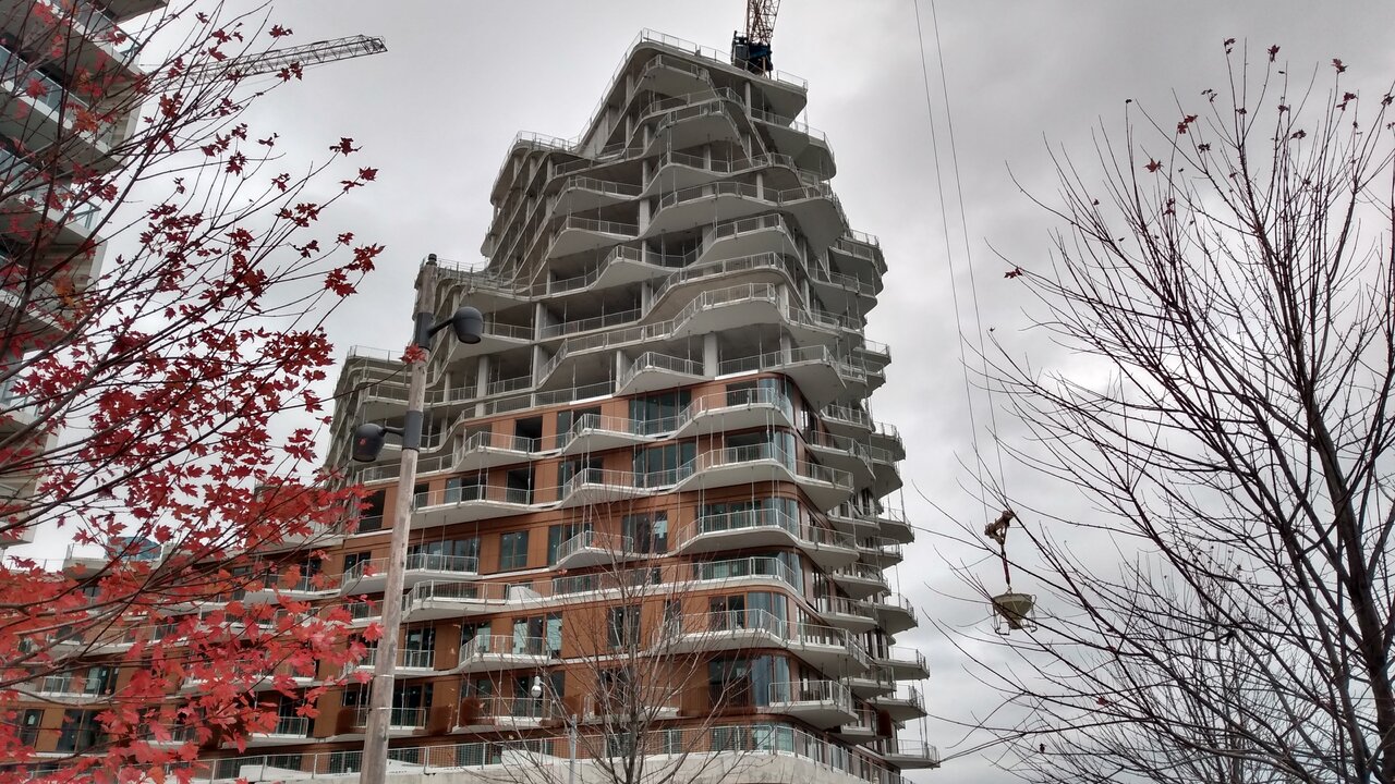 IMG_20231107_122058308_HDR.jpg