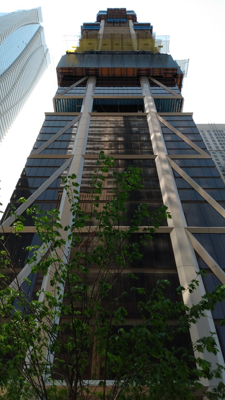 IMG_20240516_115328967.jpg