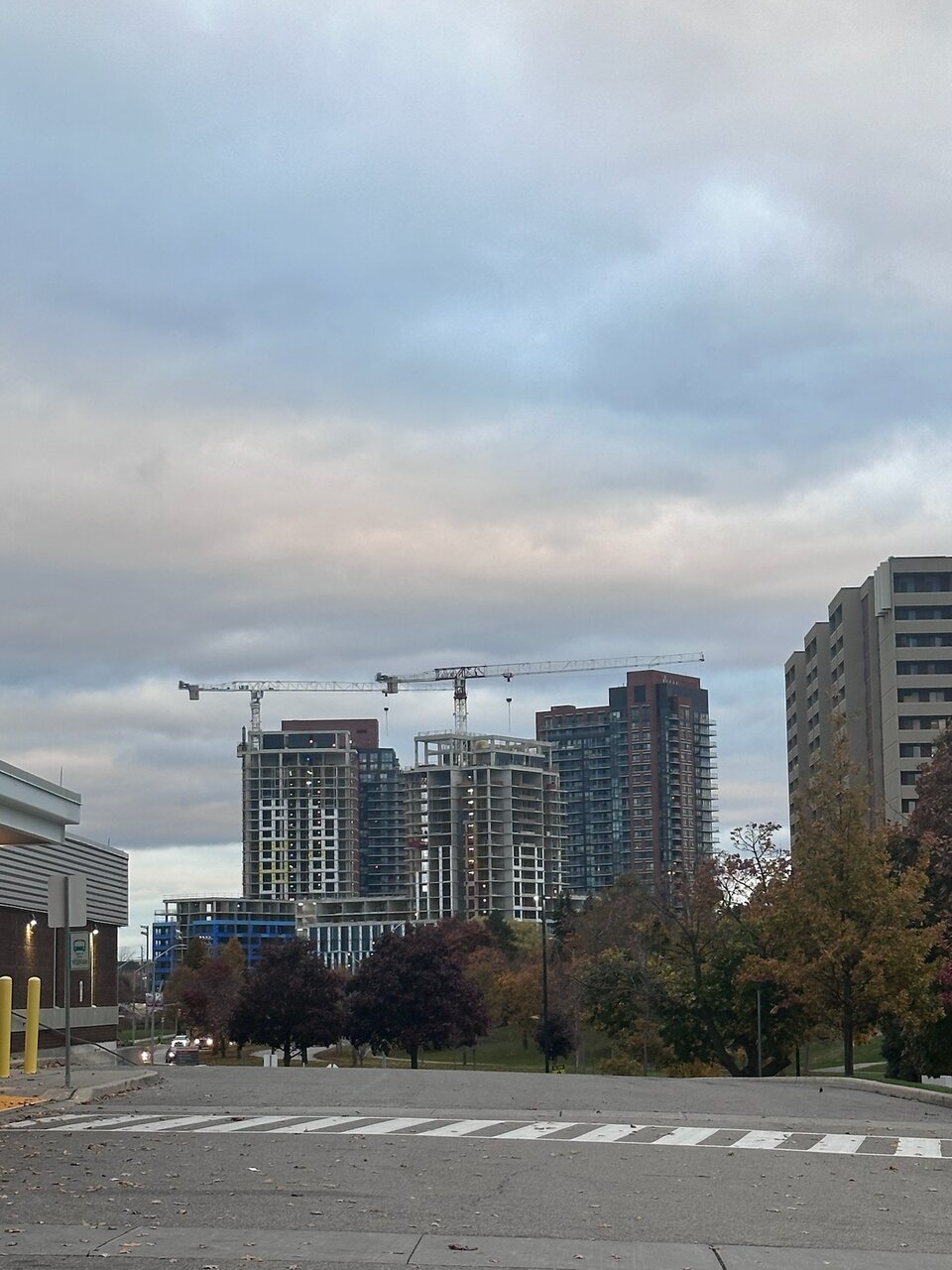 IMG_20241101_113129.jpg