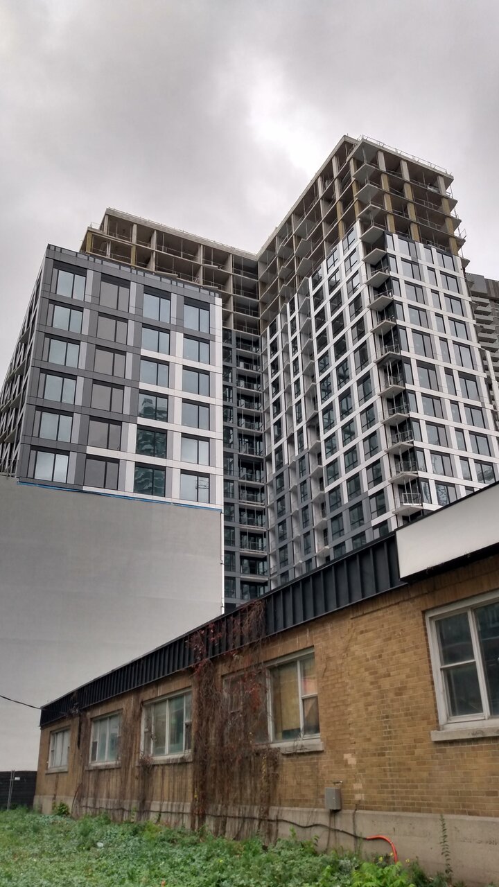 IMG_20241101_113509645_HDR.jpg