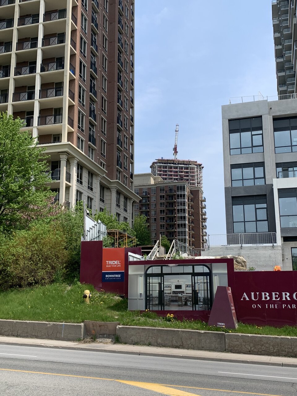 IMG_2029.jpeg
