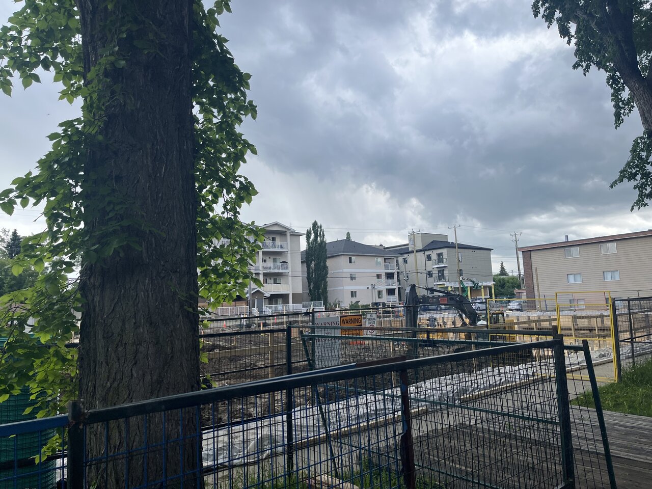 IMG_2033.jpeg