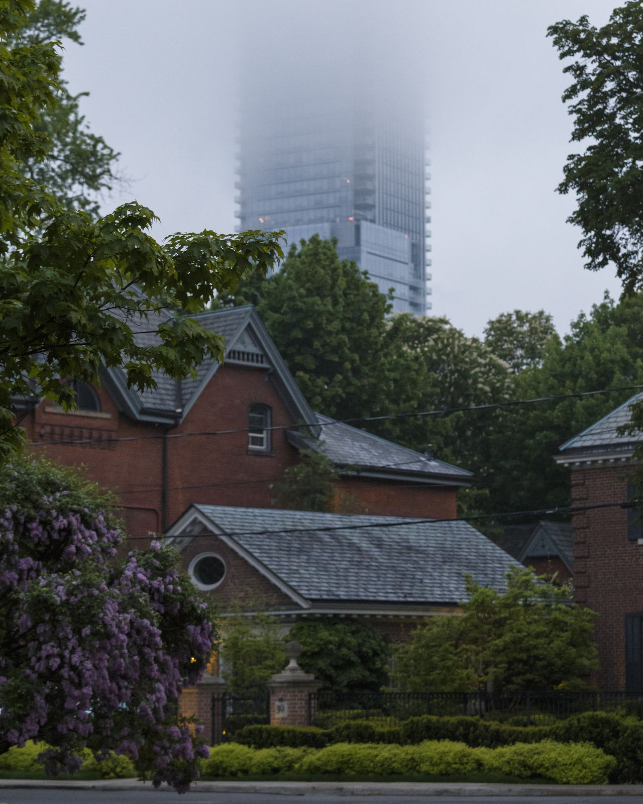 IMG_2197.jpg IMG_2197.jpg