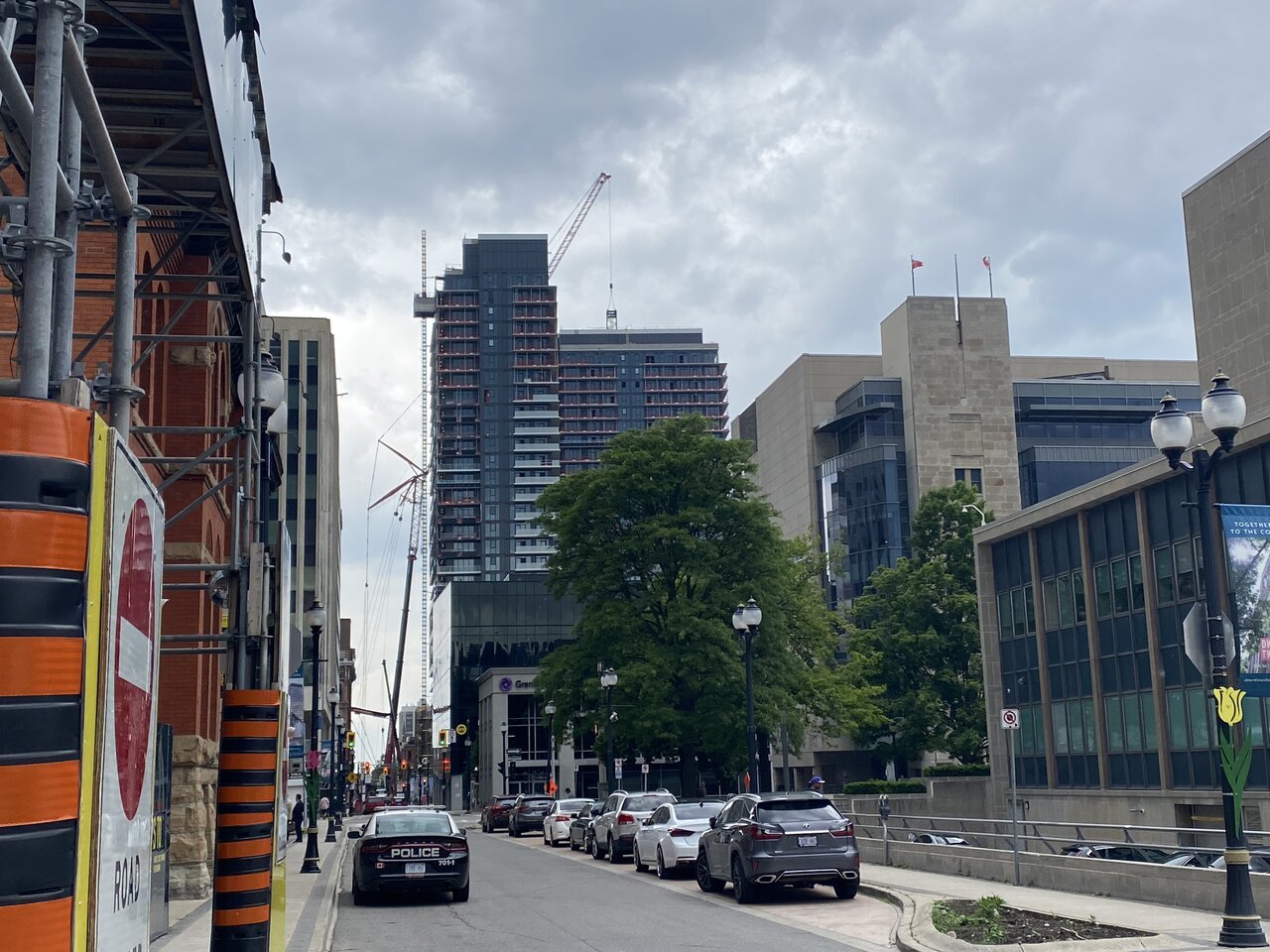IMG_2202.jpeg