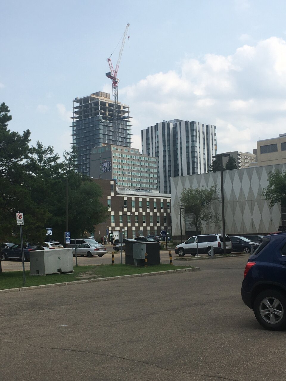 IMG_2217.jpeg