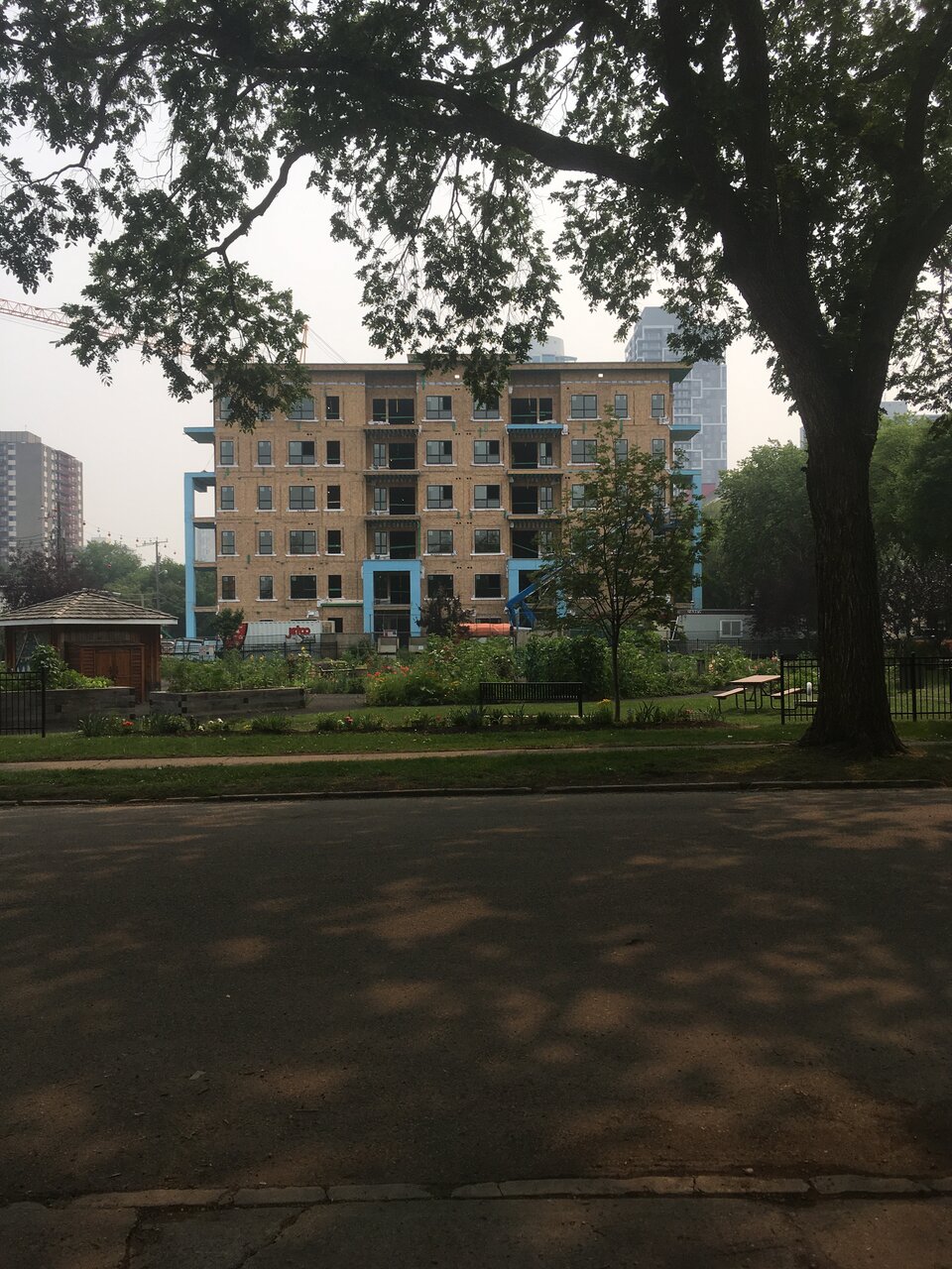 IMG_2226.jpeg