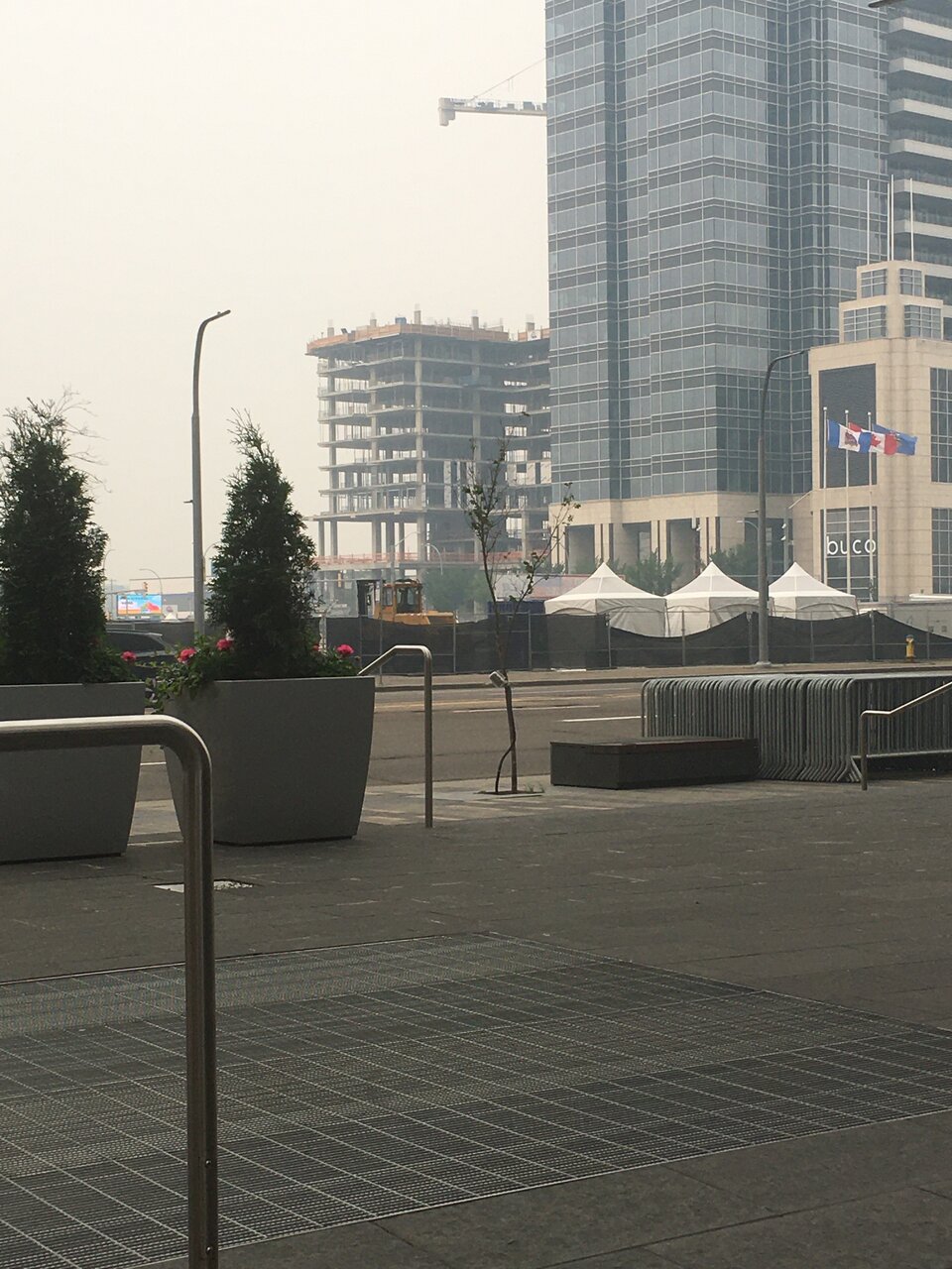 IMG_2231.jpeg