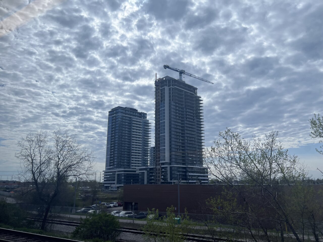 IMG_2244.jpeg