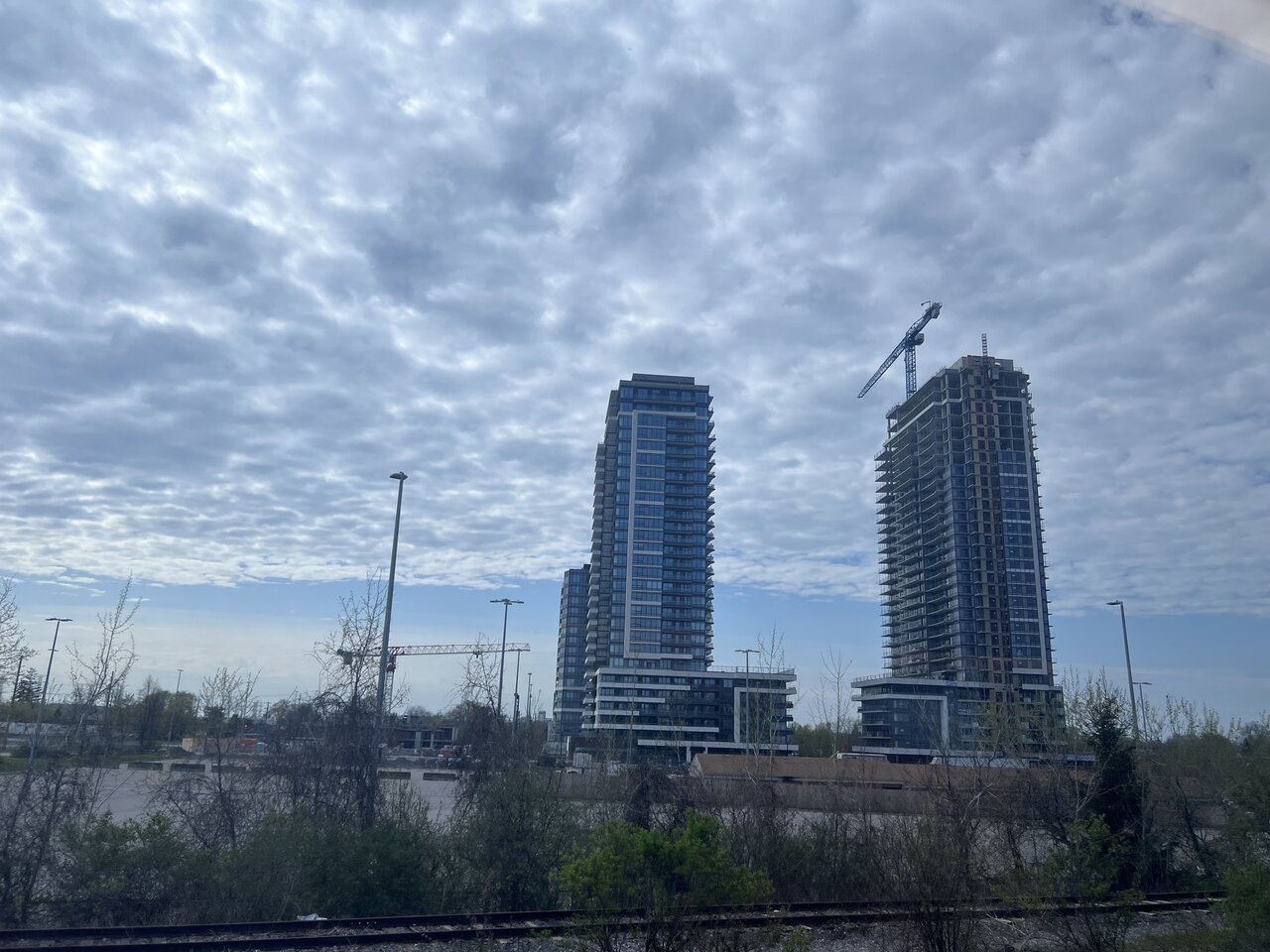 IMG_2246.jpeg