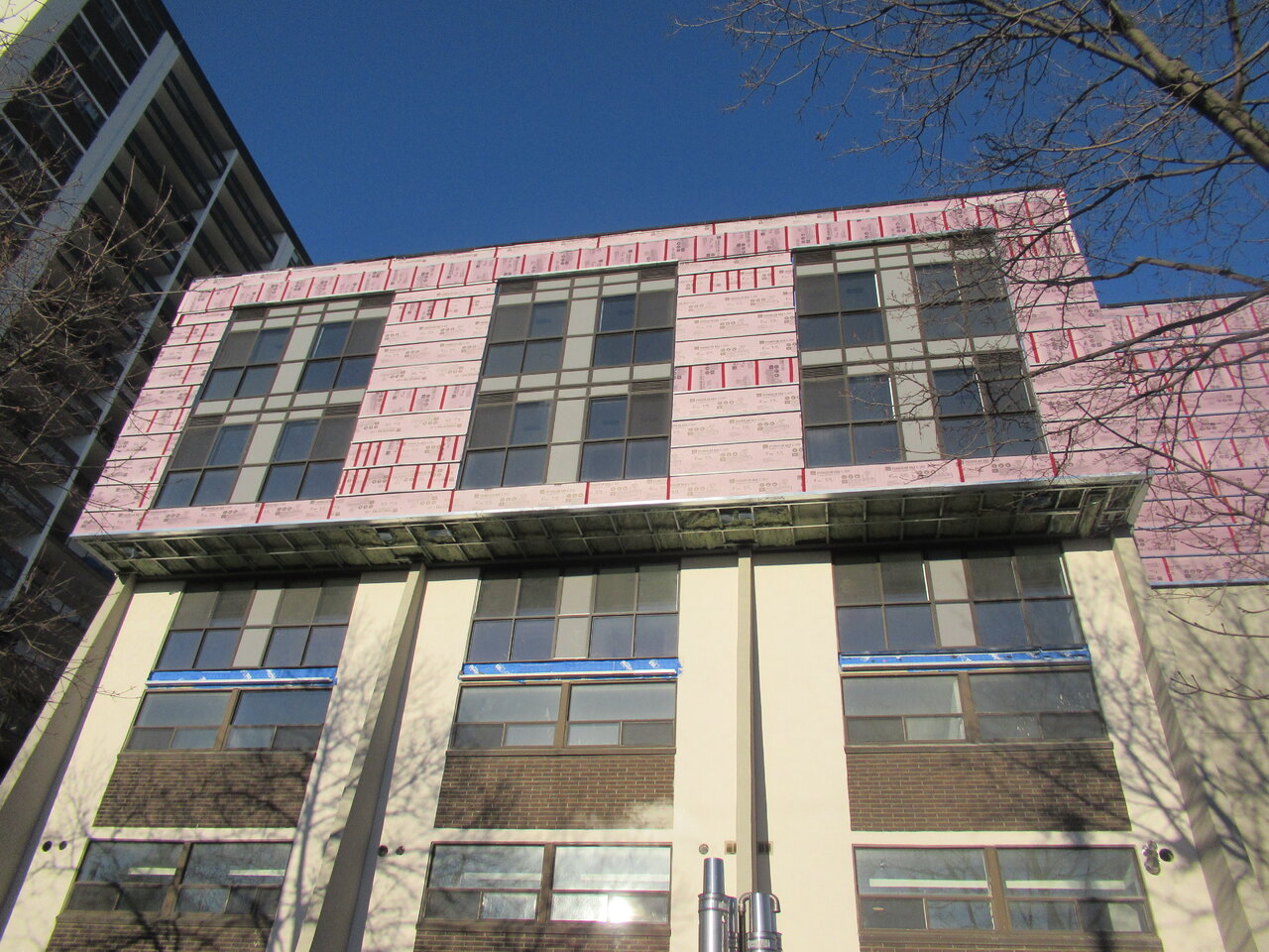IMG_2251.JPG
