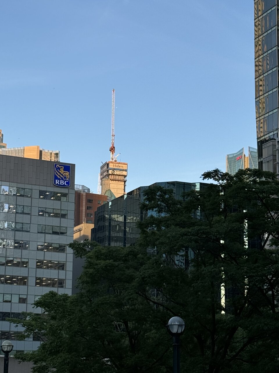 IMG_2306.jpeg