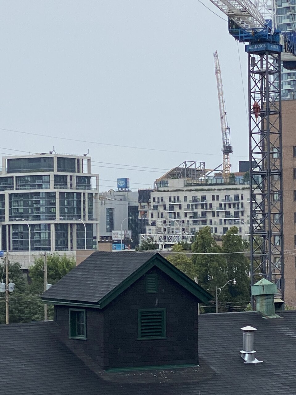 IMG_2513.jpeg