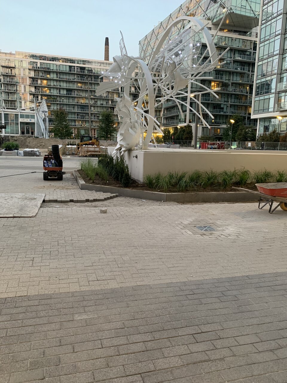 IMG_2597.jpeg
