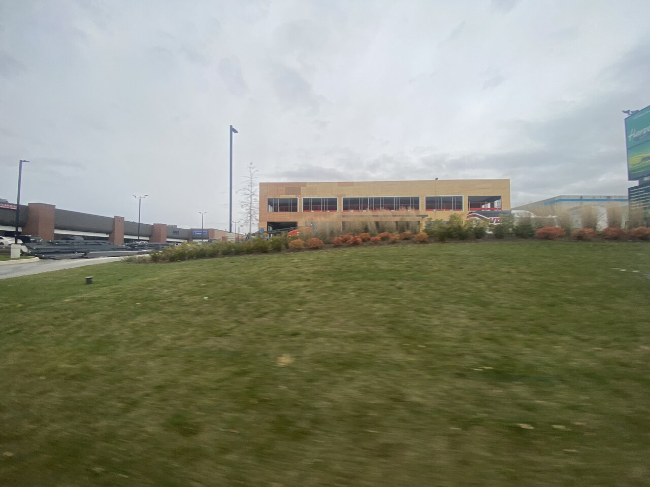 IMG_2650.jpeg