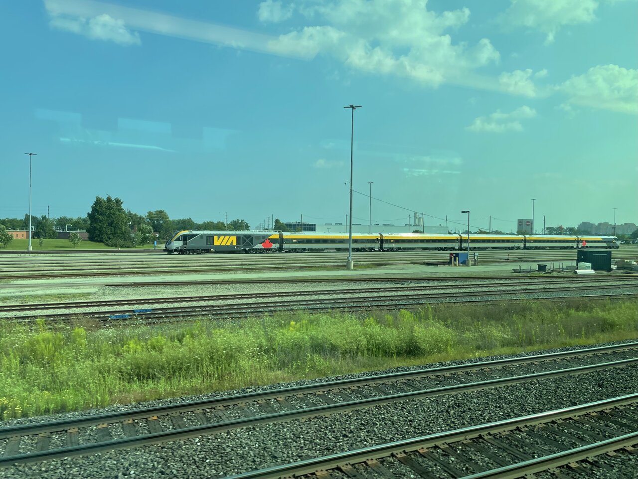 IMG_2702.jpeg