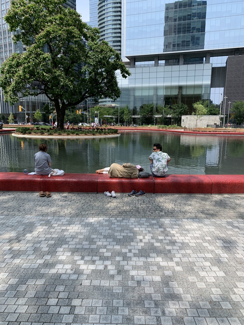 IMG_2943.jpeg