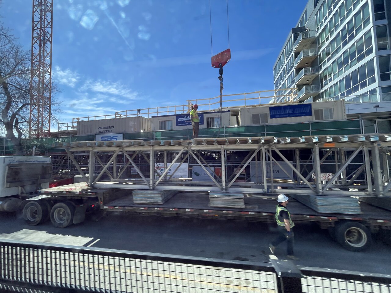 IMG_2955.jpeg
