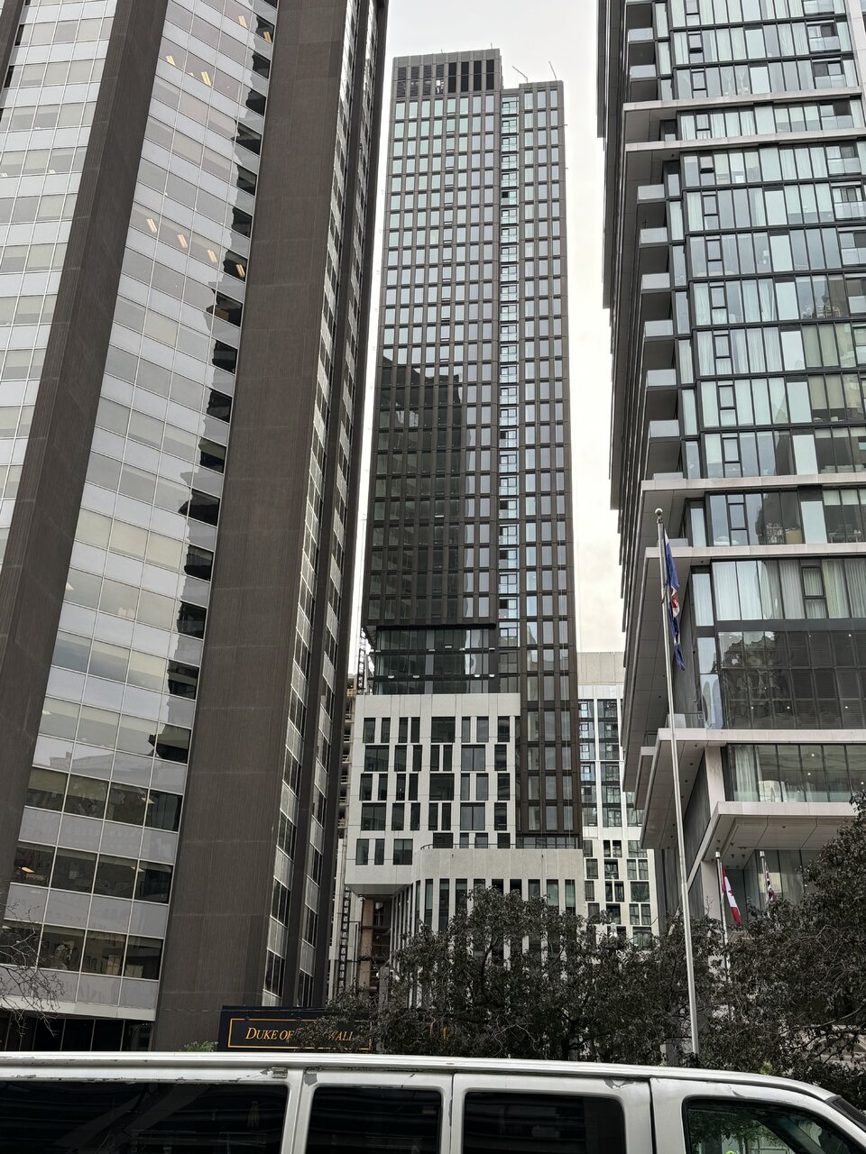 IMG_2959.jpeg