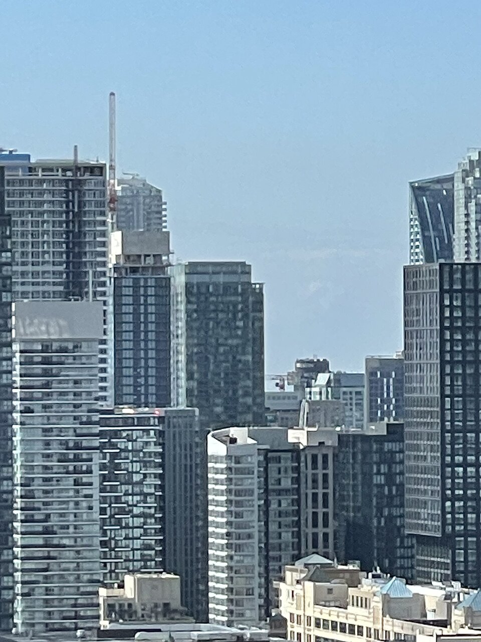 IMG_2985.jpeg