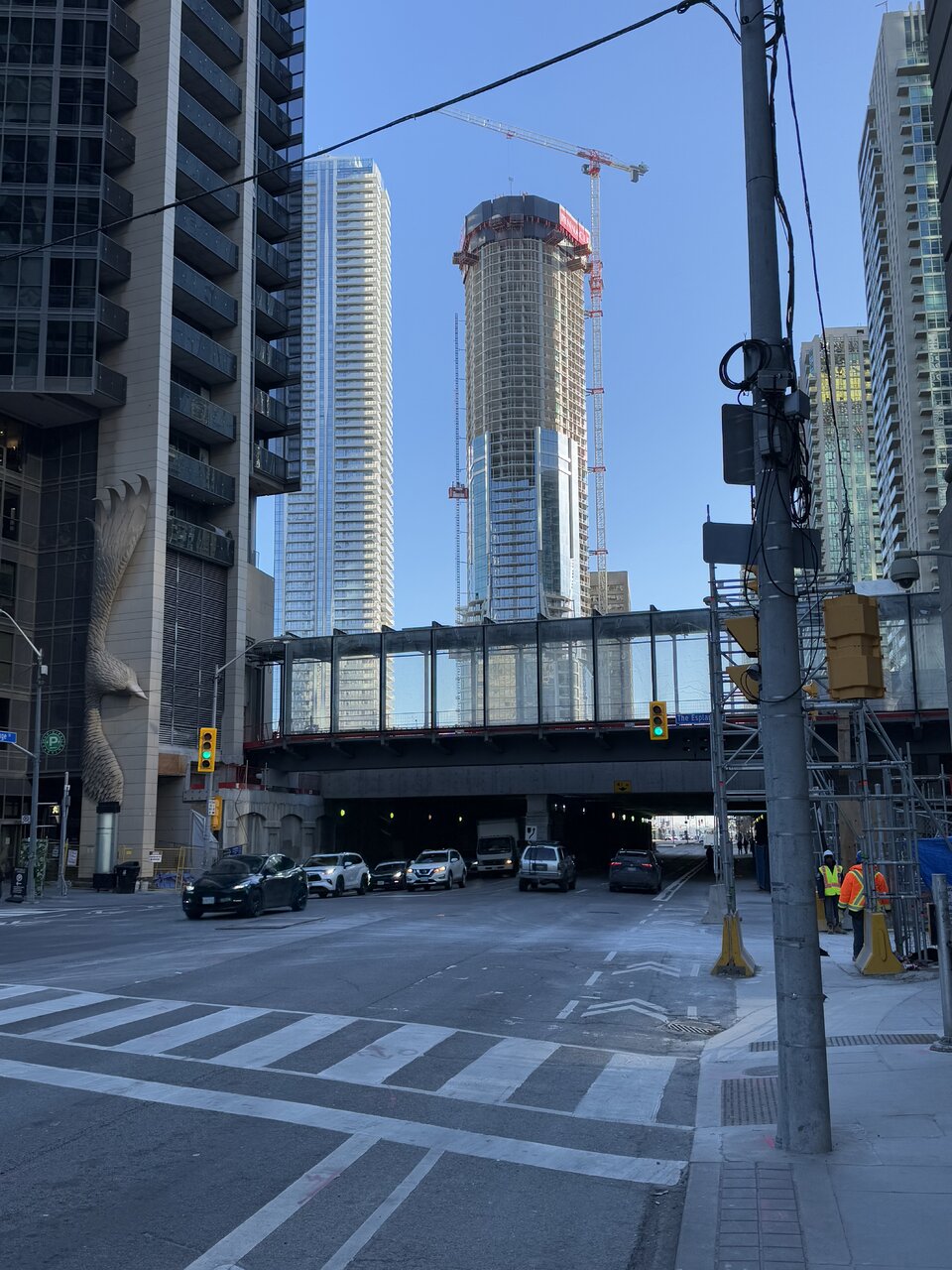 IMG_2987.jpeg