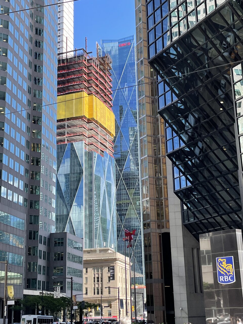 IMG_2990.jpeg