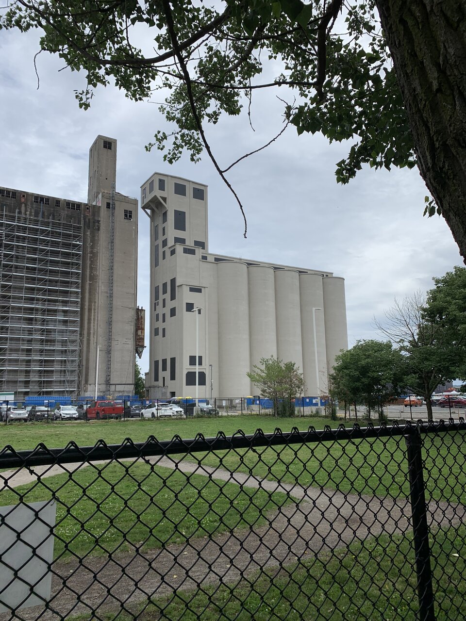 IMG_3099.jpeg