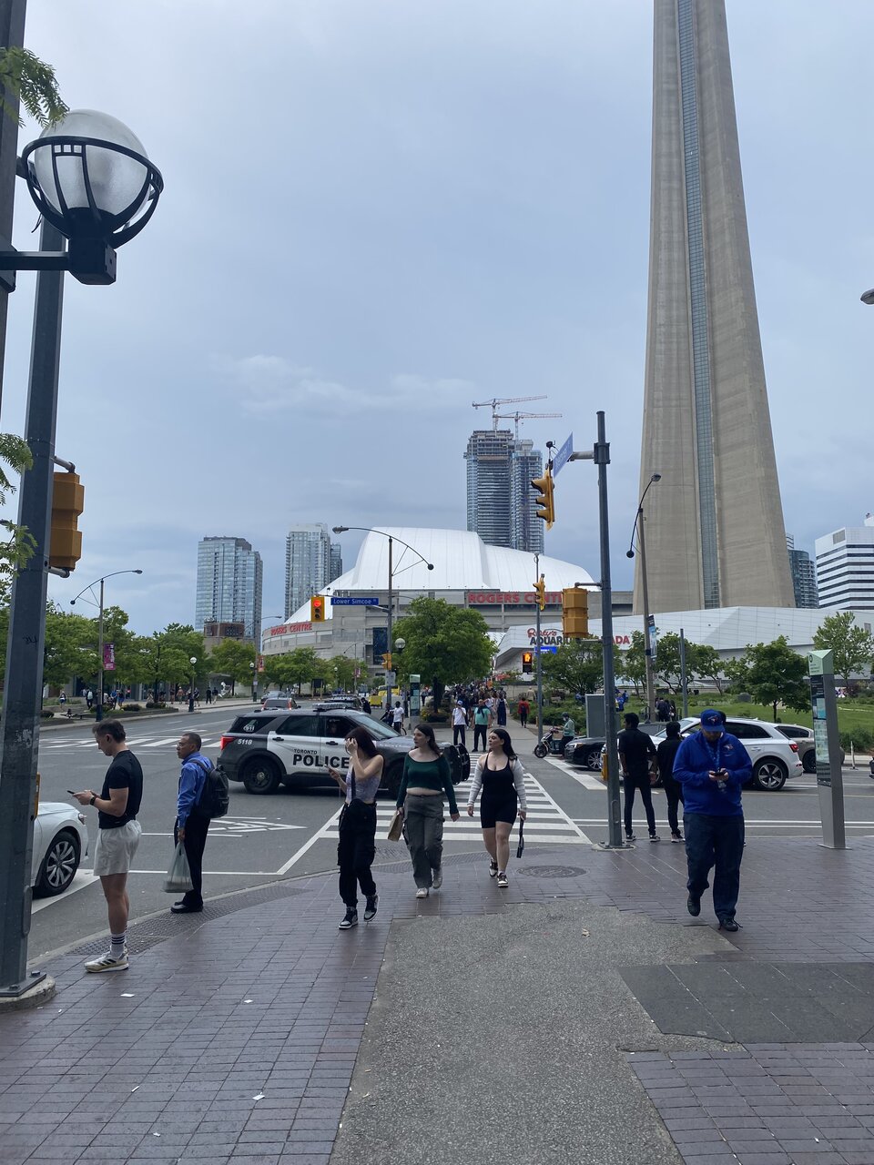 IMG_3239.jpeg